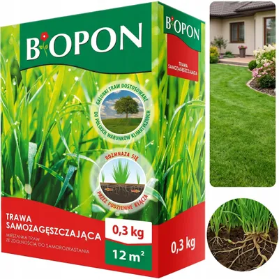 Produktbild von BOPON – Selbstverdichtendes Rasengras 12 m² – 0,3 kg