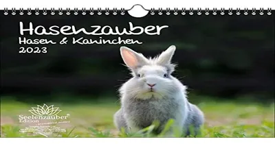 Wandkalender 2023 mit Hasenmotiv, A4, mehrfarbig