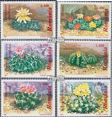 Produktbild von Briefmarken Rumänien 1997 Mi 5256-5261 (kompl.Ausg.) postfrisch Kakteen