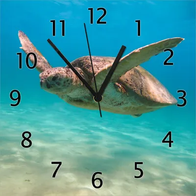 Produktbild von Wallario Design Wanduhr Meeresschildkröte aus Echtglas, Größe 30 x 30 cm
