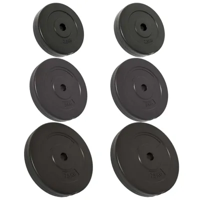 Produktbild von vidaXL Hantelscheiben 6 Stk. 30 kg Zement