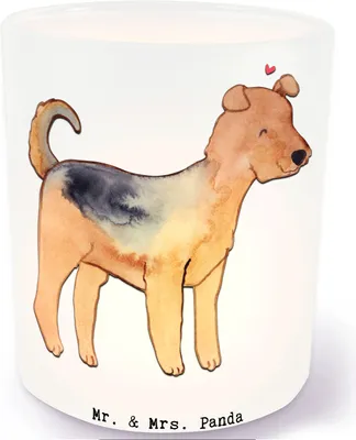 Produktbild von Mr. & Mrs. Panda Balkon Windlicht Airedale Terrier Lebensretter - Transparent - Geschenk, Kerzenhalter, Glas, tischlicht, aus, Teelichthalter