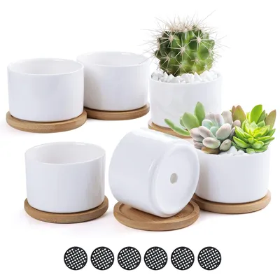 Immagine prodotto di Solidchoice - Set di 6 vasi in Vetroceramica per piante grasse