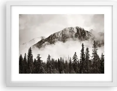 Produktbild von Gerahmtes Poster - Weißer Rahmen - Nebel Berg Wald - 40x30 cm - Wand Bild - Wanddeko - Wandbilder - Kunstposter - Wandposter - Bilderrahmen - Bilder - Kunstdruck - Wanddekoration - P2WAA40x30-4936