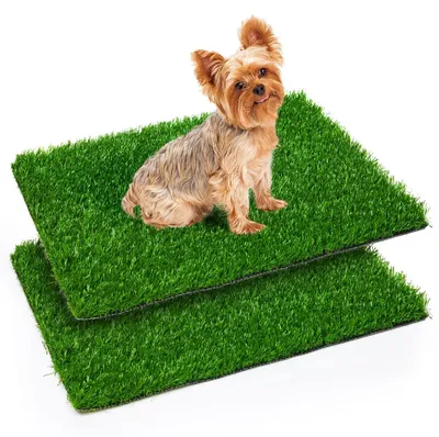 Image de Coussinets d'entraînement pour chiots en gazon synthétique, lot de 2