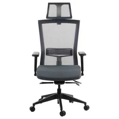 Immagine prodotto di Sedia da ufficio ergonomica girevole HOPE, braccioli regolabili, poggiatesta, seduta scorrevole (avanti-indietro), grigio