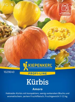 Produktbild von Kiepenkerl Kürbissamen Amoro F1 Cucurbita maxima 6 Pflanzen
