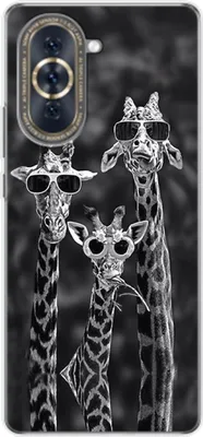 Produktbild von König Design Hülle kompatibel mit Huawei nova 10 Kunststoff Soft Handyhülle - Handy Case 3 Giraffen