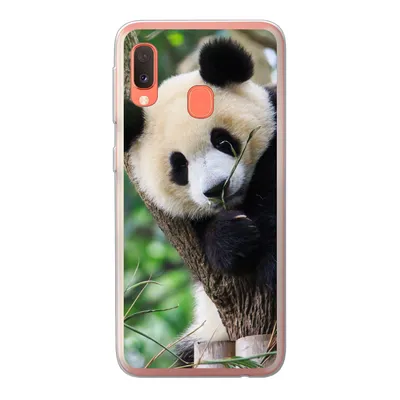 Produktbild von MuchoWow® Handyhülle Schutzhülle Hülle für Samsung Galaxy A20e Panda - Tiere - Dschungel - Natur Silikon Softcase Handy Hülle - Abdeckung