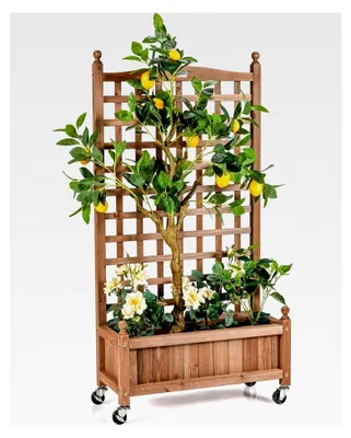Produktbild von Blumenkasten mit Rankgitter, Pflanzkasten mit Rollen, Hochbeet aus Tannenholz, Pflanzgefäß mit Sichtschutz, Blumentopf für Kletterpflanzen, Blumen, Früchte, 64 x 28 x 127 cm