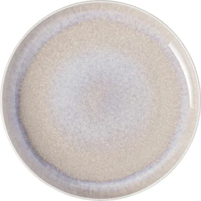A top-down view of a round plate with a speckled, iridescent glaze.