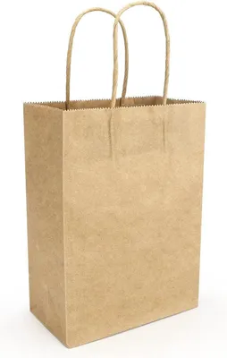 40 Stück Papierbeutel mit Henkel – Braune Geschenktüten für Feste, Hochzeiten und Weihnachten (21 x 15 x 8 cm)