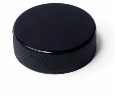 Produktbild von Puck Schanner Game Puck standard