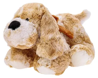 Image de BEPPE Chien Roddy 30cm 10644