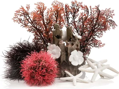 Obrázek produktu pro biOrb Decor Set 15L Red Forest