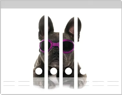 Produktbild von Wallario Ordnerrücken Sticker, selbstklebend für schmale Ordner, 8 Stück, Motiv Cooler Hund mit Sonnenbrille in pink - Französische Bulldogge