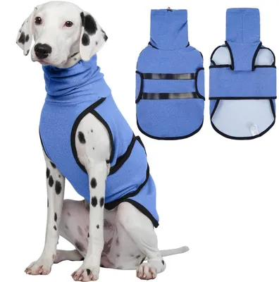 Immagine prodotto di Maglione per cani con cappuccio e protezioni per le orecchie, colore blu