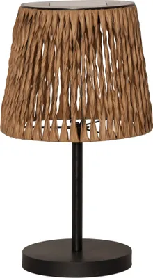 Produktbild von Solar-Tischleuchte Cesta Wasserhyazinthe Dämmerung 48cm