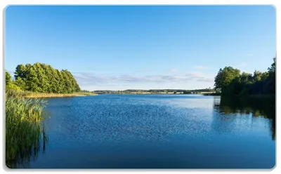 Produktbild von Wallario Frühstücksbrettchen aus Glas, je 14 x 23 cm, mit rutschfesten Füßen, Motiv Malerischer See mit Schilf unter blauem Himmel
