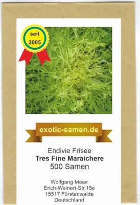 Produktbild von Frisee Endivie - Tres Fine Maraichere - 500 Samen