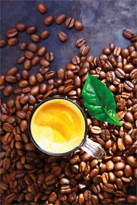 Produktbild von Wallario Poster - Kaffee und Bohnen, Kunstdruck Größe: 61 x 91,50 cm