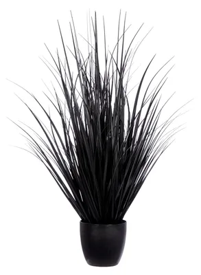 Obrázok produktu pre Gilde Getopfte Pflanze, Gras / Gräser, Kunststoff, 1 Stück schwarz, H. 100 cm 57344