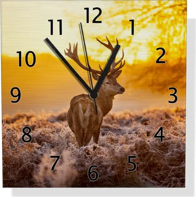 Produktbild von Wallario Design Wanduhr stattlicher Rothirsch im Morgengrauen aus Aluverbund, Größe 30 x 30 cm