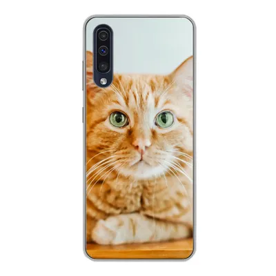 Produktbild von MuchoWow® Handyhülle Schutzhülle Hülle für Samsung Galaxy A30s Katze - Holz - Schrank Silikon Softcase Handy Hülle - Karteninhaber