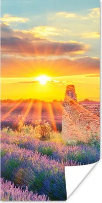 Produktbild von MuchoWow® Poster Lavendel - Sonnenuntergang - Ruine - Lila 20x40 cm - Plakat - Foto