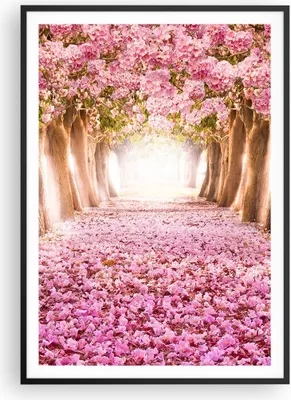 Produktbild von Gerahmtes Poster - Schwarzer Rahmen - Baum Blumen Kirsche Natur - 70x100 cm - Wand Bild - Wanddeko - Wandbilder - Wandposter - Bilderrahmen - Bilder - Kunstdruck - Wandbild - P2BPA70x100-2794