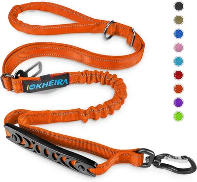 Imagen del producto de Correa para perros con sistema de cierre de seguridad para cinturón de coche, reflectante, ajustable, para perros pequeños y medianos