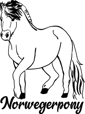 Produktbild von Norwegerpony - Pony – Fjordpferd - Autoaufkleber Ponys