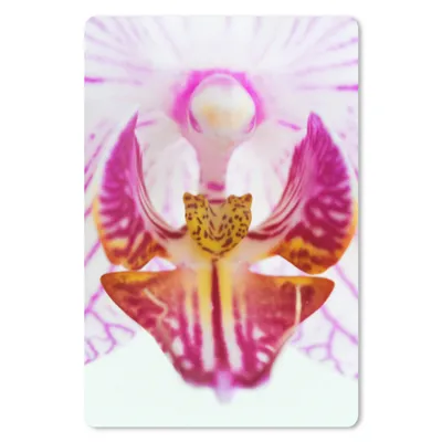 Produktbild von MuchoWow® Mauspad Mousepad Orchidee Detail 18x27 cm - Mousepads - Maus Mat - Pad - Mausunterlage