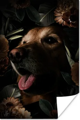 Produktbild von MuchoWow® Poster Hund - Blumen - Pflanzen 120x180 cm - Kunstposter
