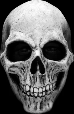 Produktbild von Skelett Skull - Horror Halloween Maske weiß