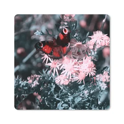 Produktbild von MuchoWow® Mauspad Mousepad Tagpfauenauge auf rosa Blüten 20x20 cm - Mousepads - Maus Mat - Pad - Mausunterlage - Desk Mat - Bureauartikeln
