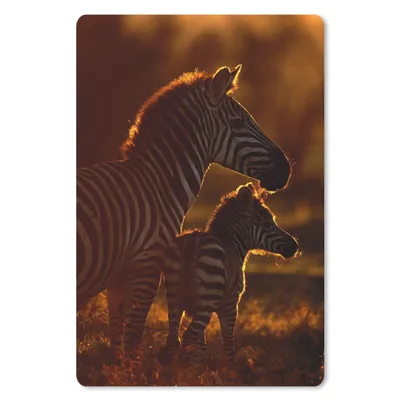 Produktbild von MuchoWow® Mauspad Mousepad Zebra - Sonne - Fohlen 18x27 cm - Mousepads - Maus Mat - Pad - Mausunterlage