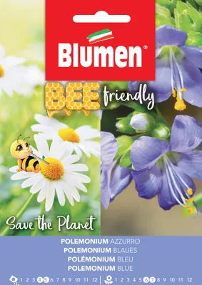 Artikelbild 1 von 'Blaue Jakobsleiter' aus der Kategorie Blumensamen