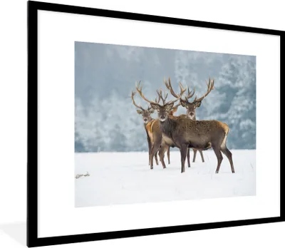 Produktbild von MuchoWow® Gerahmtes Poster Hirsche - Tiere - Schnee - Winter - Landschaft - Natur 80x60 cm - Poster mit Schwarzem Bilderrahmen Wandposter Rahmen Foto Bilder - Schlafzimmer-Dekorationen - Fotoposter