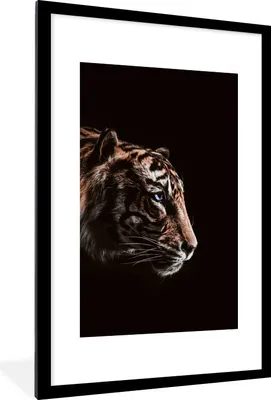 Produktbild von MuchoWow® MuchoWow® Gerahmtes Poster Tiger - Porträt - Raubtier 60x90 cm - Poster mit zchwarzem Bilderrahmen - Dekoration - Wandposter Wohnzimmer - Hochwertig