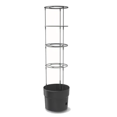 Produktbild von Tomatenpflanze aus Kunststoff Pflanzkübel 18 L, Tomatenzüchter, Tomatentopf, Übertopf, Gemüsen, Tomaten Waschende