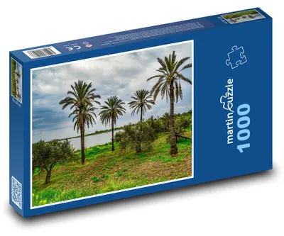 Zdjęcie produktu dla Puzzle 1000 Palmy na wybrzeżu - martinpuzzle
