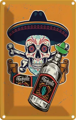 Produktbild von vianmo Blechschild 18x12 cm Totenkopf Tequila Alkohol