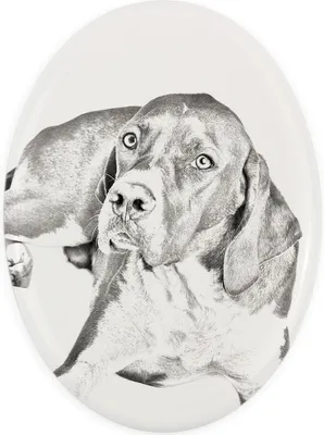 Produktbild von English Pointer, Englischer Pointer I - Gedenktafel mit einem Foto eines Hundes, Grabplatte mit Druck, personalisierte ovale Platte der Marke Art-Dog