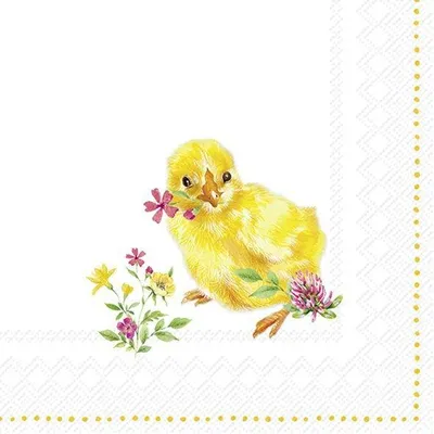 Produktbild von CHICKS Cocktail-Servietten C1031400