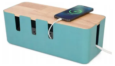 Imagen del producto de Relaxdays, caja para cables, para 2 regletas de enchufes, tapa de madera, plástico, para ocultar cables, dimensiones (alto x ancho x profundidad): 11,5 x 30,5 x 12,5 cm, color verde menta