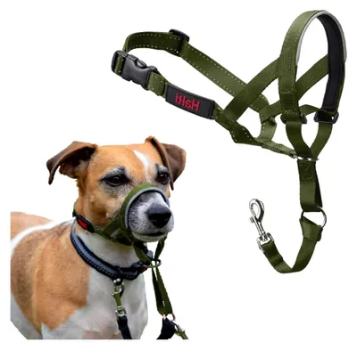 Produktbild von Kopfgeschirr - Verhindert das Ziehen an der Leine, Einfache Anpassung, Leicht, mit gepolstertem Nasenriemen, Anti-Zug-Halsband für kleine Hunde (Größe 1, Waldgrün)