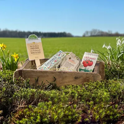 Produktbild von Osternest für Kinder mit Ziegelform – Nachhaltiges Ostergeschenk mit Blumenmurmeln,  – Tomatensamen, Saatgruß & Bienenwohl – Samenbomben