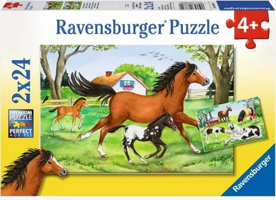 Obrázok produktu pre Ravensburger 4005556088829, 24 kusov, Zvieratá, 4 rok / roky