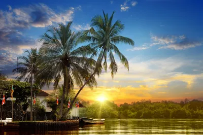 Produktbild von Fototapete Vlies 181031 Tropical Palms Sunrise 7-tlg. 350 x 260 cm
